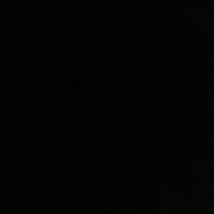 Meet your Posher, Dakota